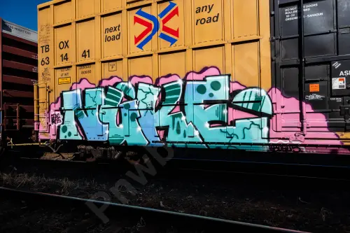 TBOX631441