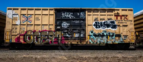 FBOX505119