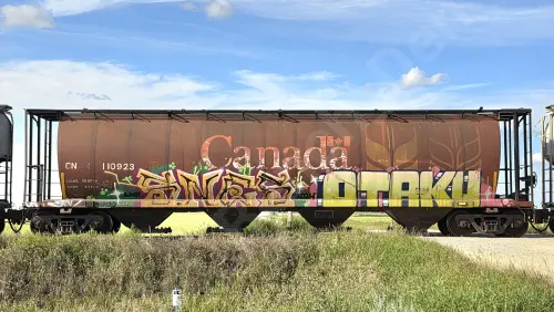 CN110923