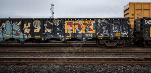 GNTX295815