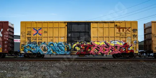 FBOX502777