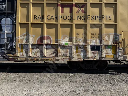 TBOX640838