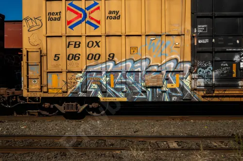 FBOX506009