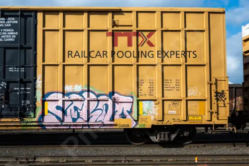 TBOX639495