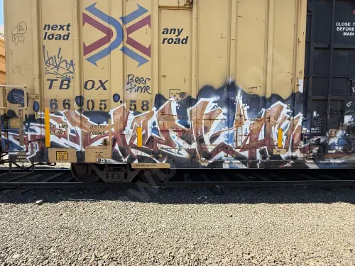 TBOX660558