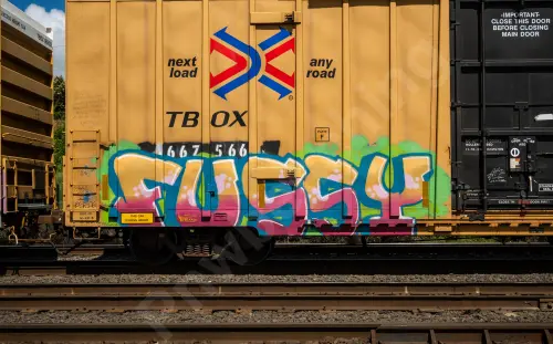 TBOX667566