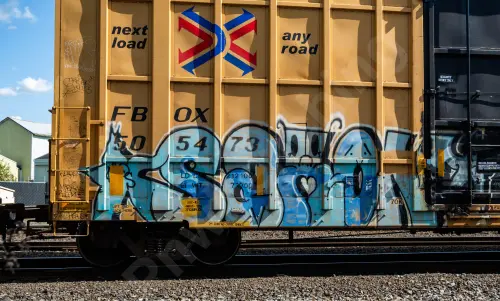 FBOX505473