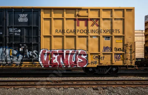 TBOX633804