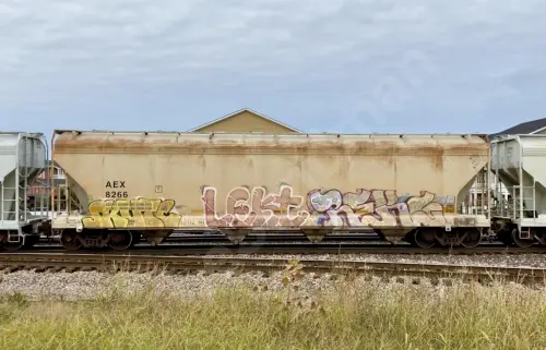Train photo