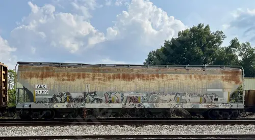 AEX21329