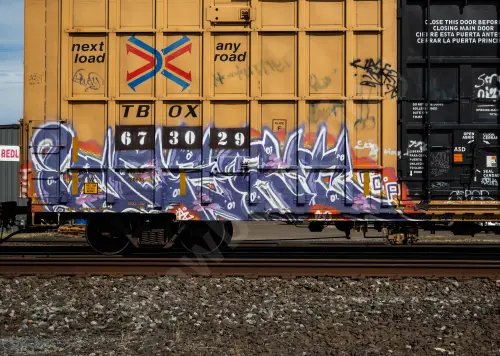 TBOX673029