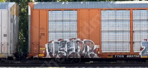 TTGX693756