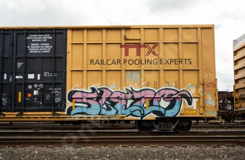 TBOX641382