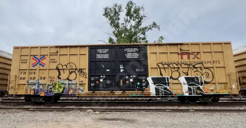 TBOX664058