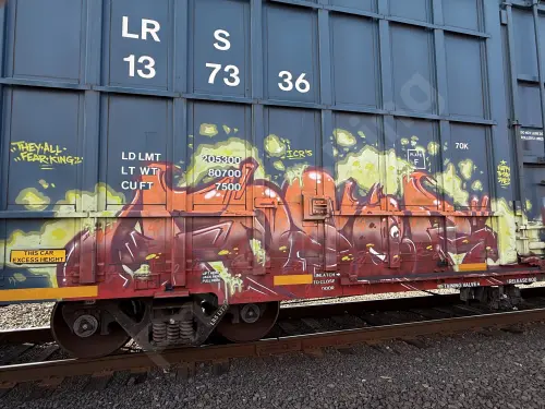 LRS137336