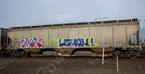 Train photo