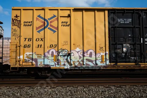 TBOX661103