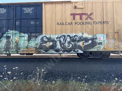 TBOX667665
