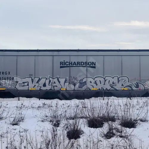 TRGX856906