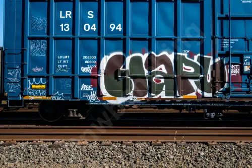 LRS130494