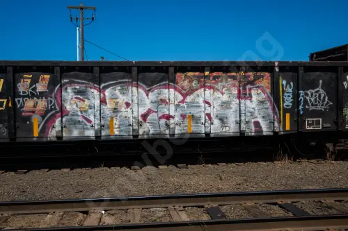 GNTX297099