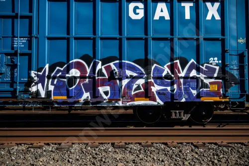LRS130494