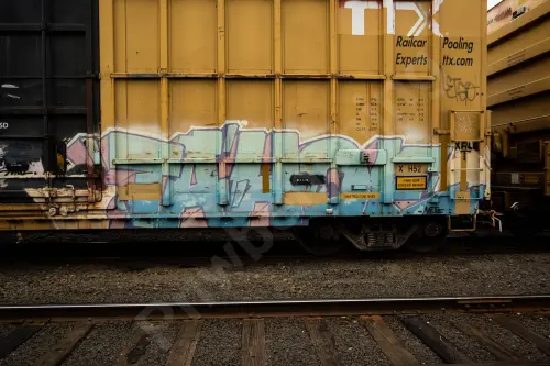 FBOX504264