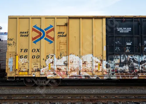 TBOX660057