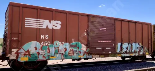 NS450727