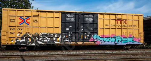 TBOX663875