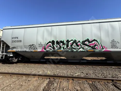 HYPX250308