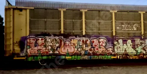 ETTX701275