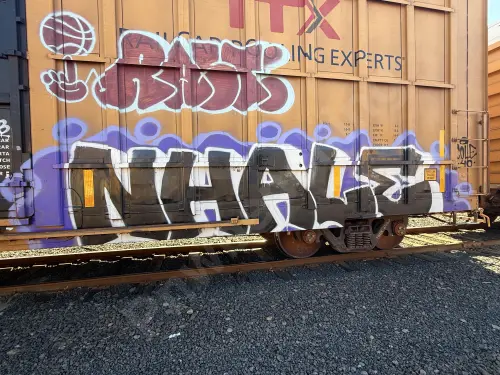 TBOX673847