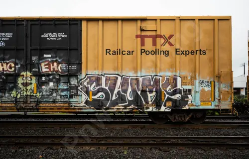 TBOX663771