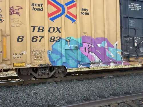 TBOX667833