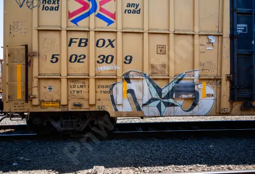 FBOX502309