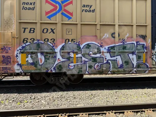 TBOX639305
