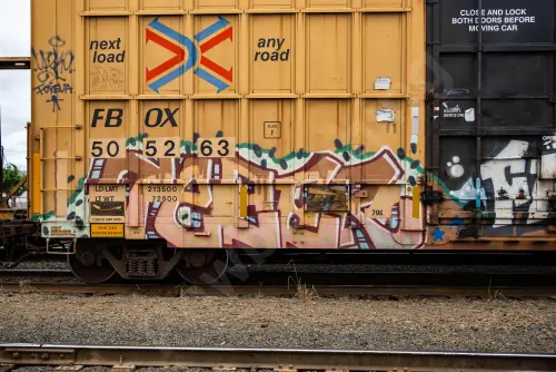 FBOX505263