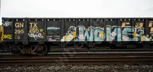 GNTX295490