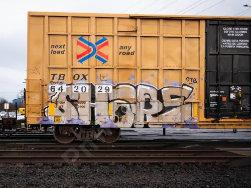 TBOX642029