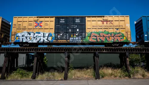 TBOX633355