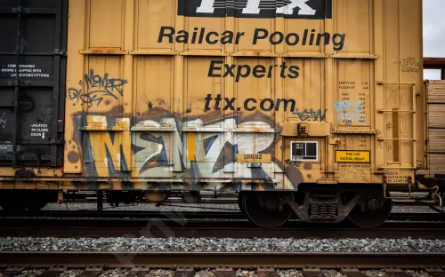 FBOX504411