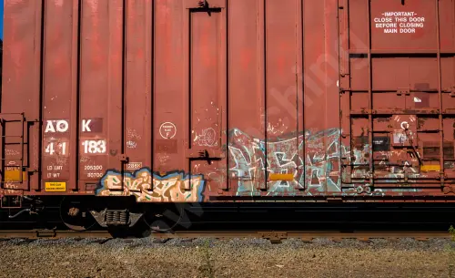 AOK41183