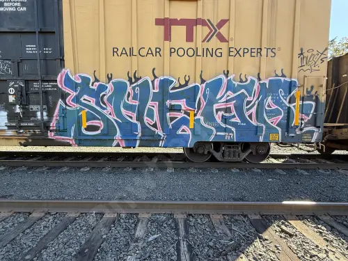 TBOX667785