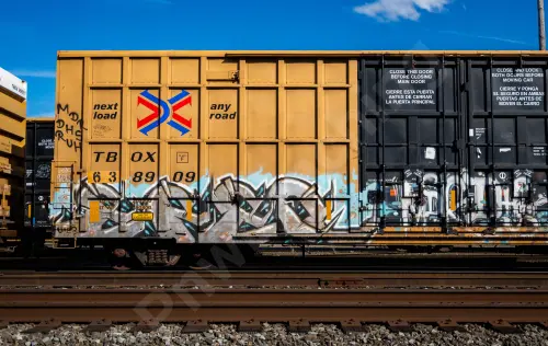 TBOX638909