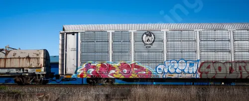CPAA543010