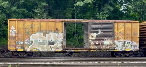 RBOX39007