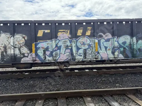 GNTX297177