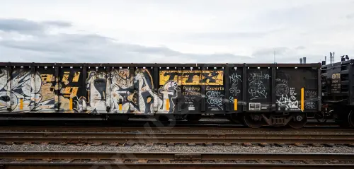 GNTX297382