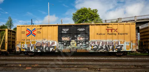 TBOX663771